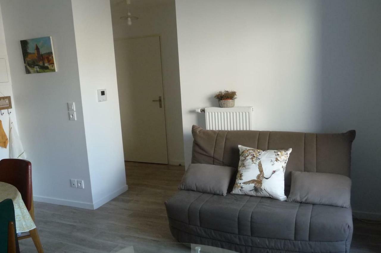 Pour Visiter Ou Travailler Dans Le Loiret Apartman Saint-Jean-de-Braye Kültér fotó