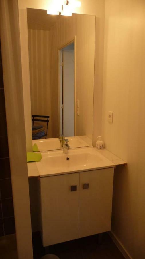 Pour Visiter Ou Travailler Dans Le Loiret Apartman Saint-Jean-de-Braye Kültér fotó